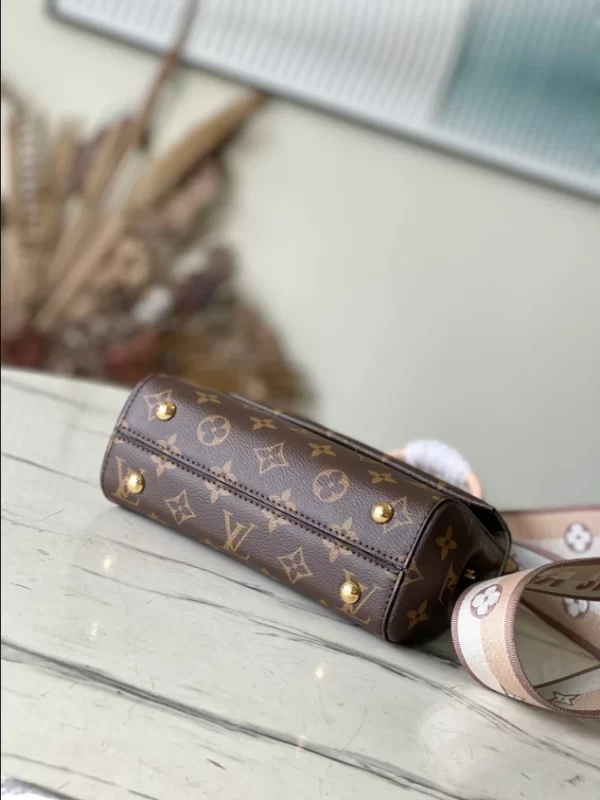 Louis Vuitton Cluny Mini Bag - LH16