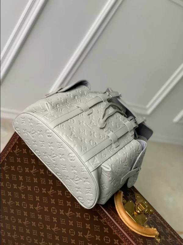 Louis Vuitton Christopher PM Taurillon Monogram Backpack - LP12