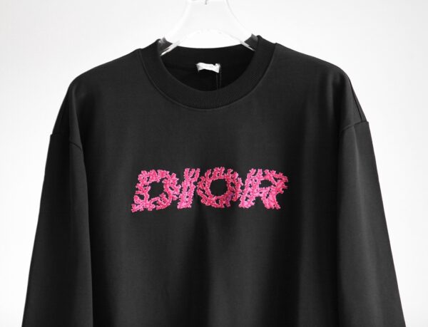 Dior Sweatshirt - HD14